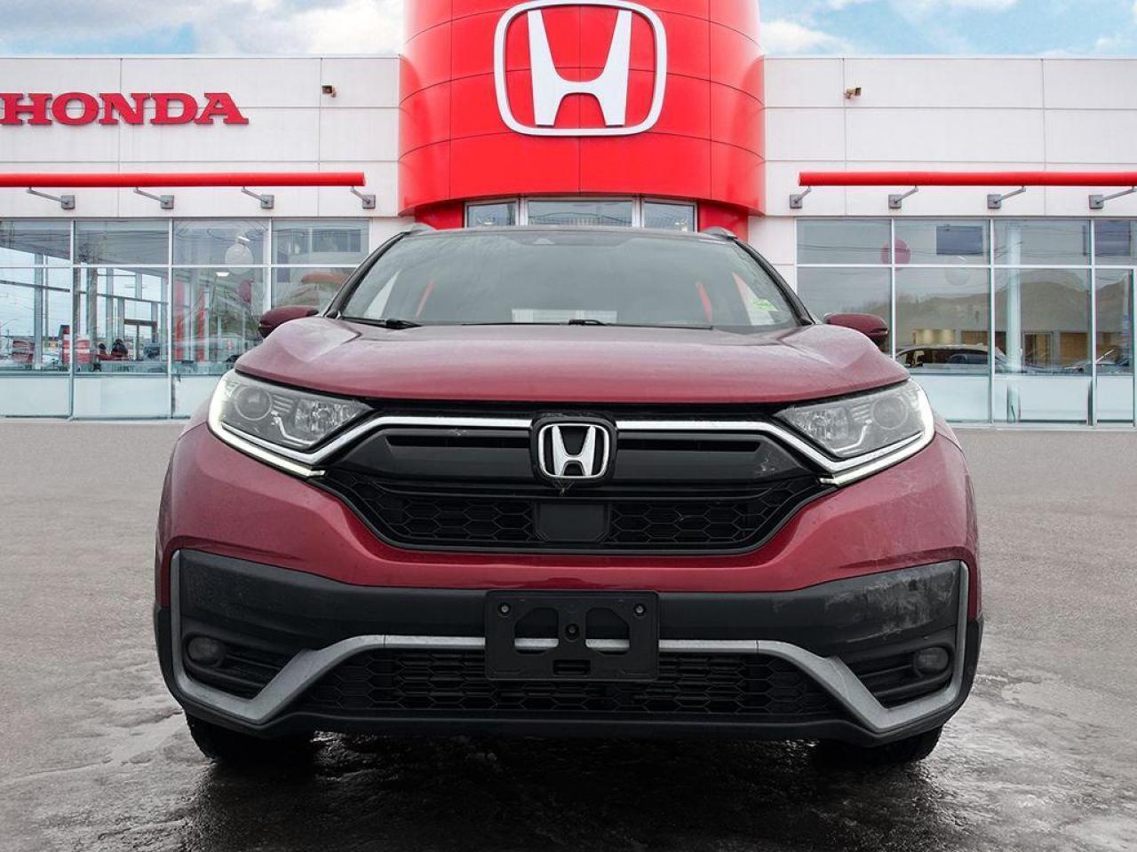2020 Honda CR-V EX-L Photo