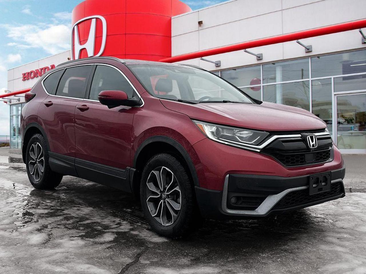 2020 Honda CR-V EX-L Photo