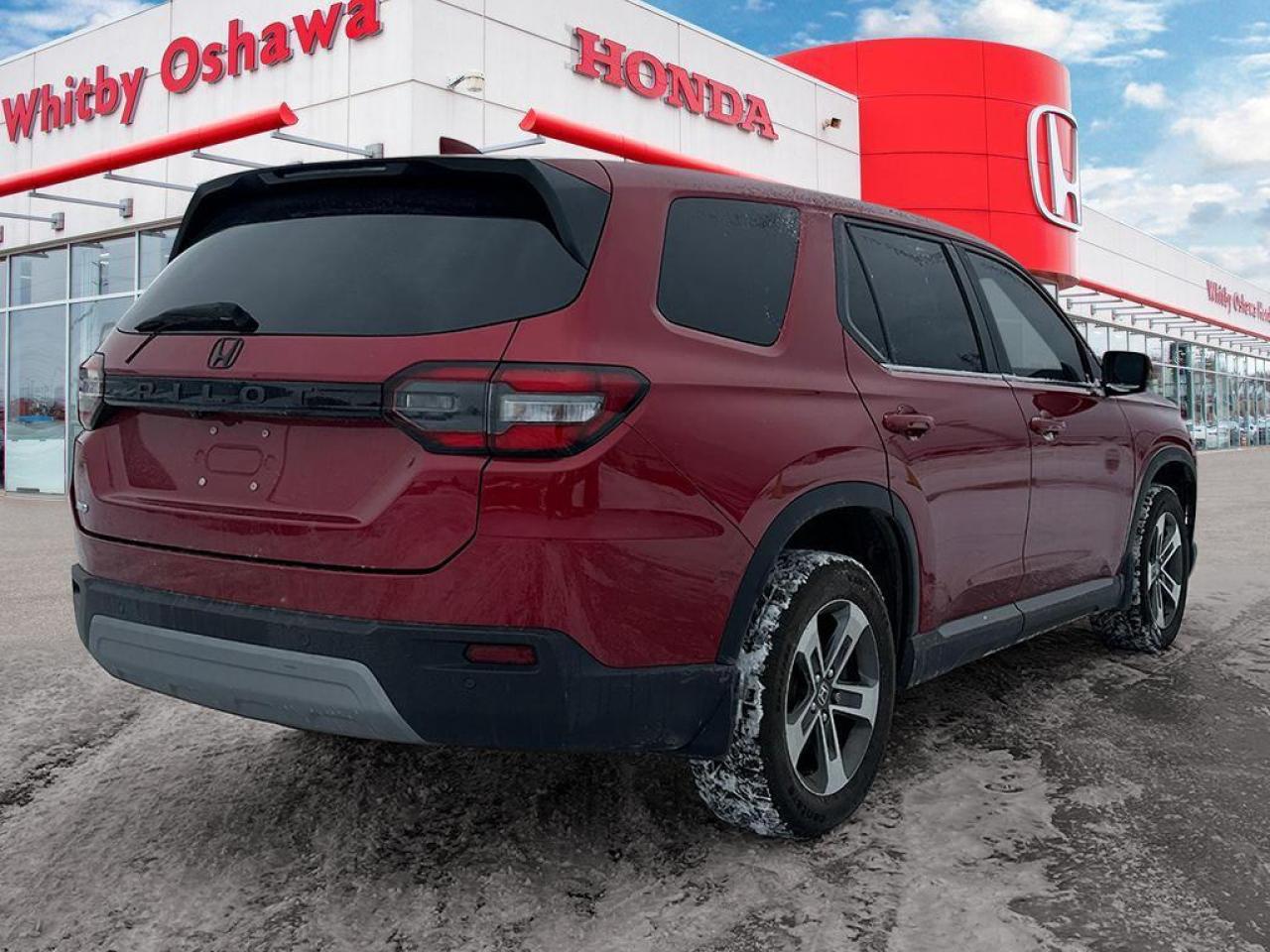 2023 Honda Pilot EX-L Photo