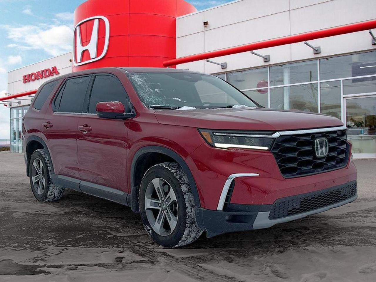 2023 Honda Pilot EX-L Photo