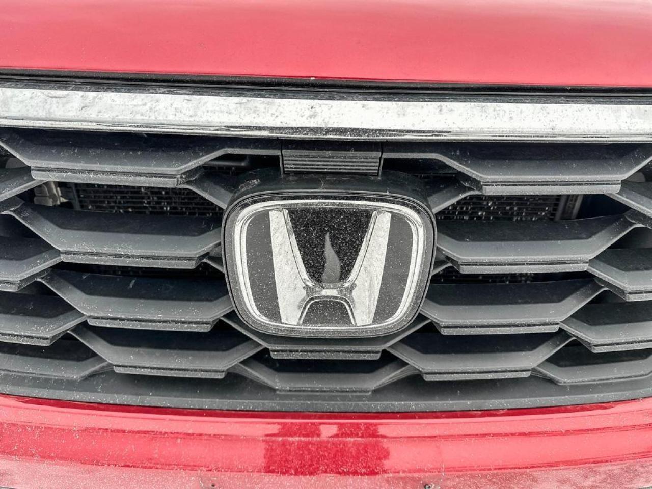 2023 Honda Pilot EX-L Photo