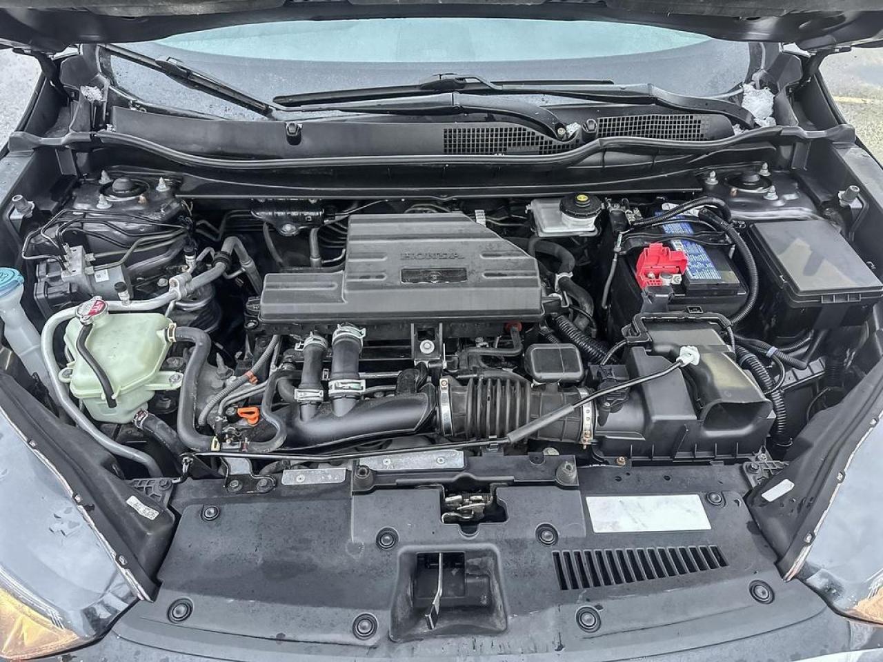 2021 Honda CR-V LX Photo