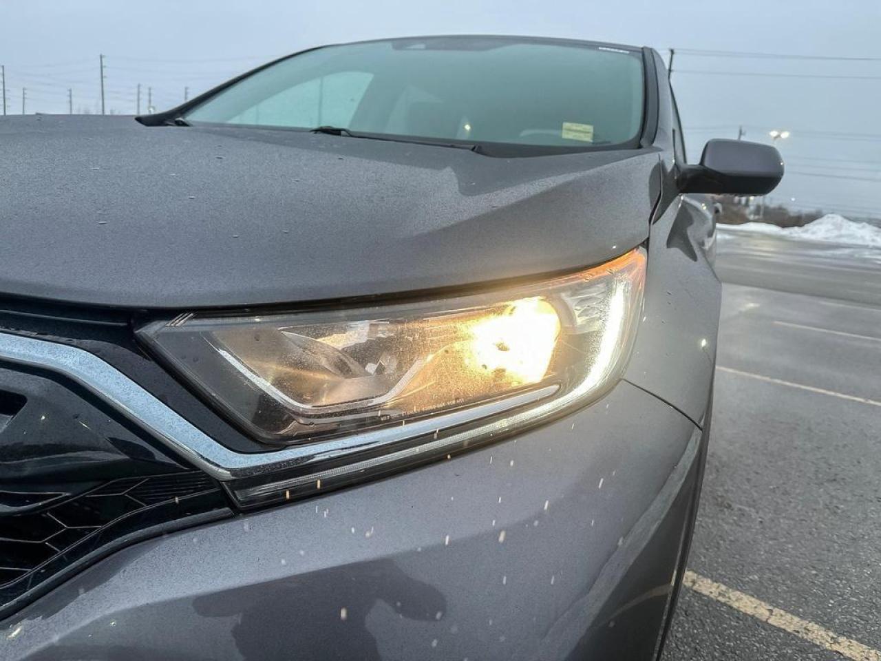 2021 Honda CR-V LX Photo