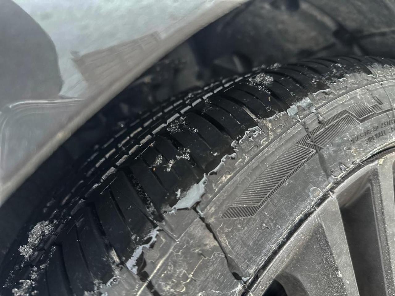 2023 Acura Integra A-SPEC Photo