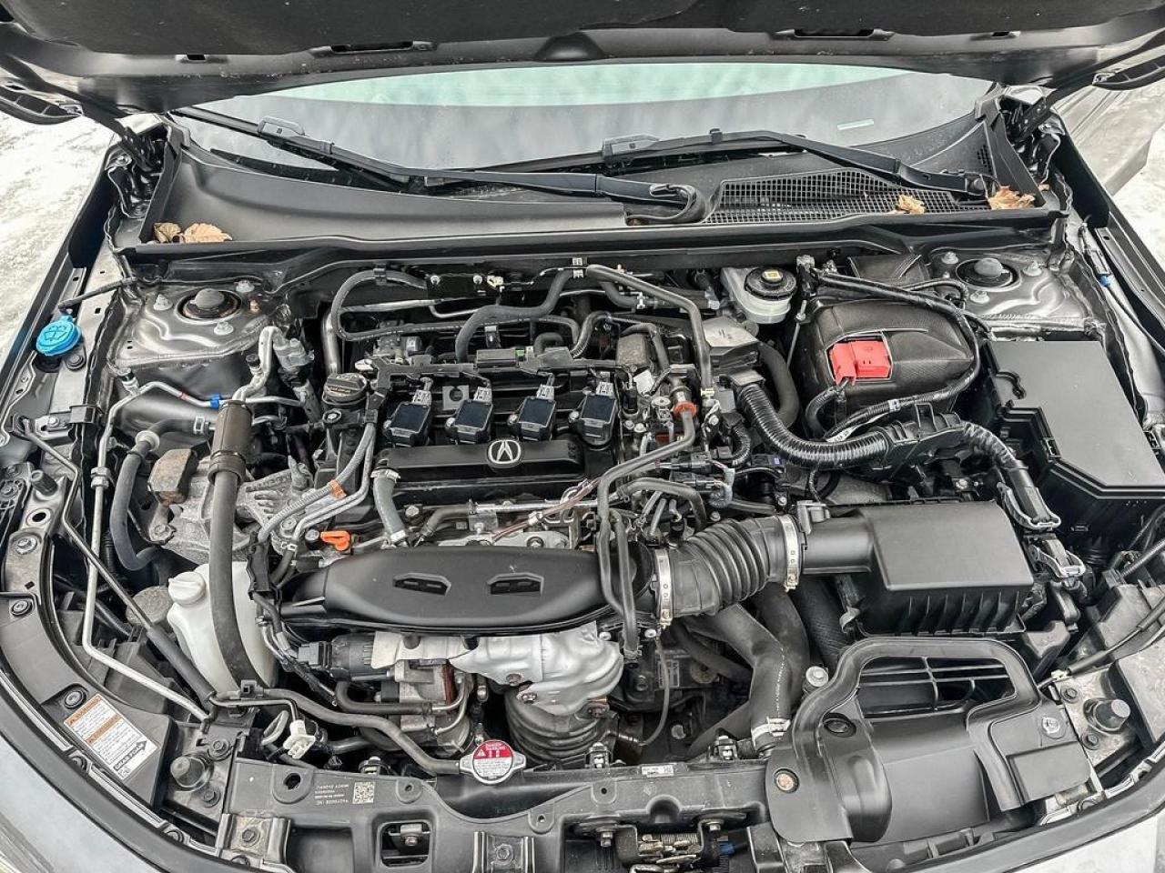 2023 Acura Integra A-SPEC Photo