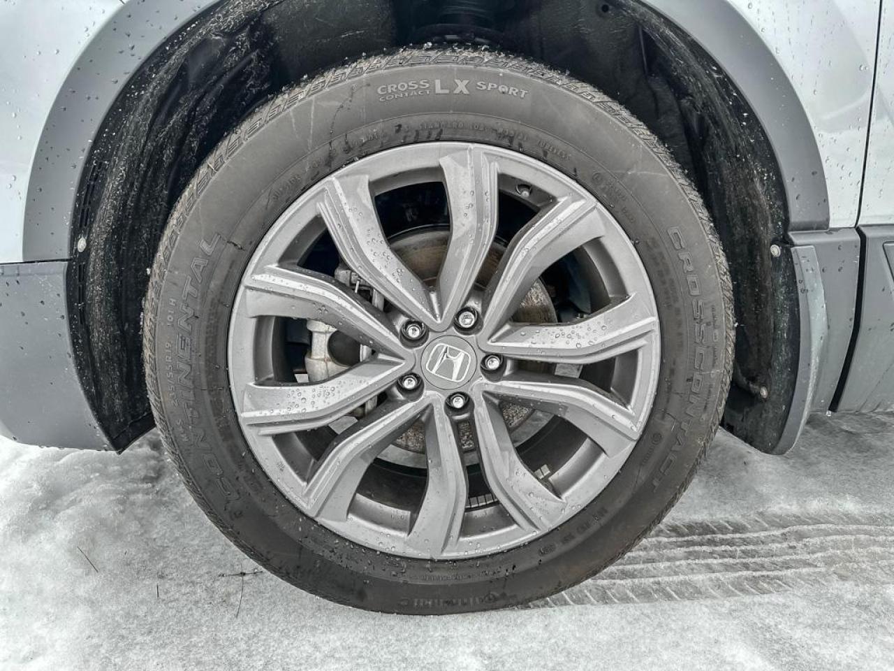 2022 Honda CR-V Sport Photo