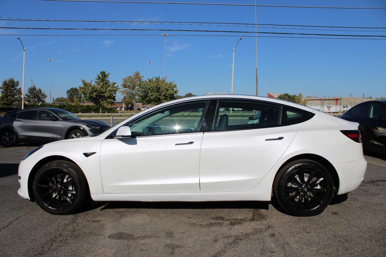 2021 Tesla Model 3 STANDARD RANGE PLUS Photo