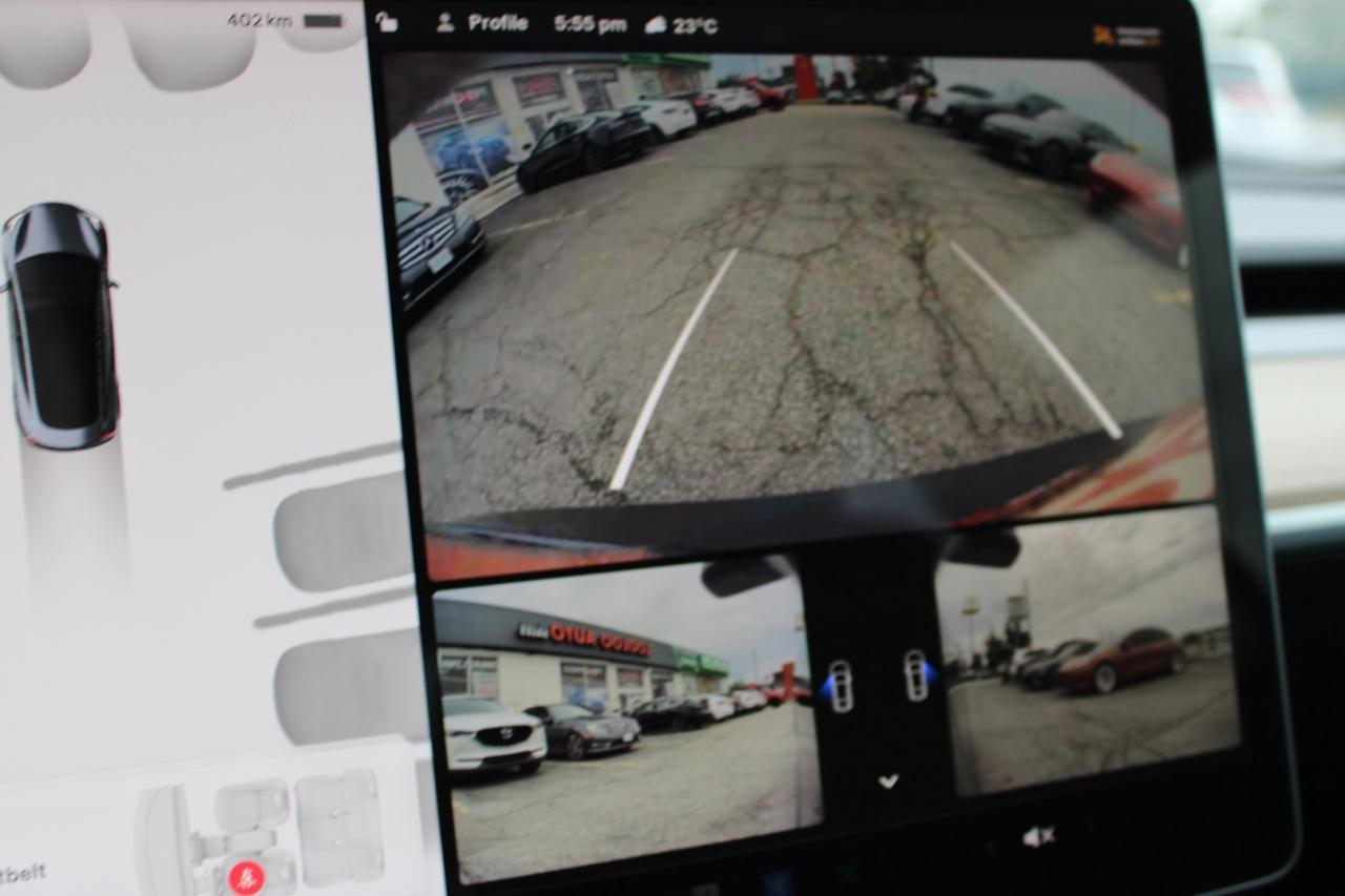 2022 Tesla Model 3 SR+   NO ACCIDENT   ONE OWNER Photo