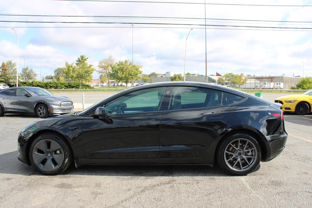 2022 Tesla Model 3 Long Range Dual Motor No Accident Photo