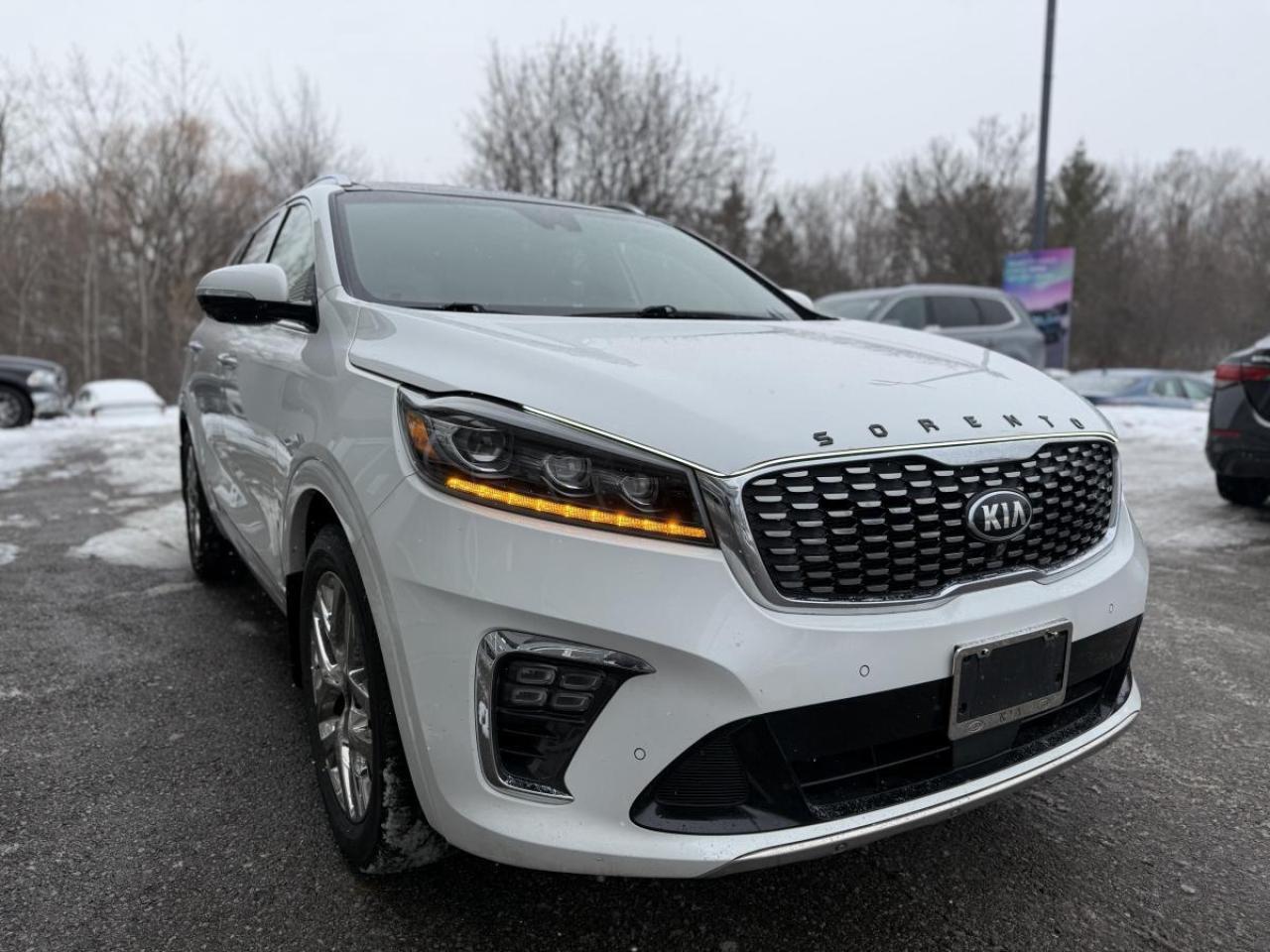 2019 Kia Sorento SXL Limited AWD w/Black Nappa Photo2