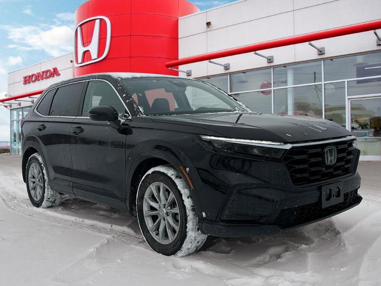 2024 Honda CR-V EX-L Photo