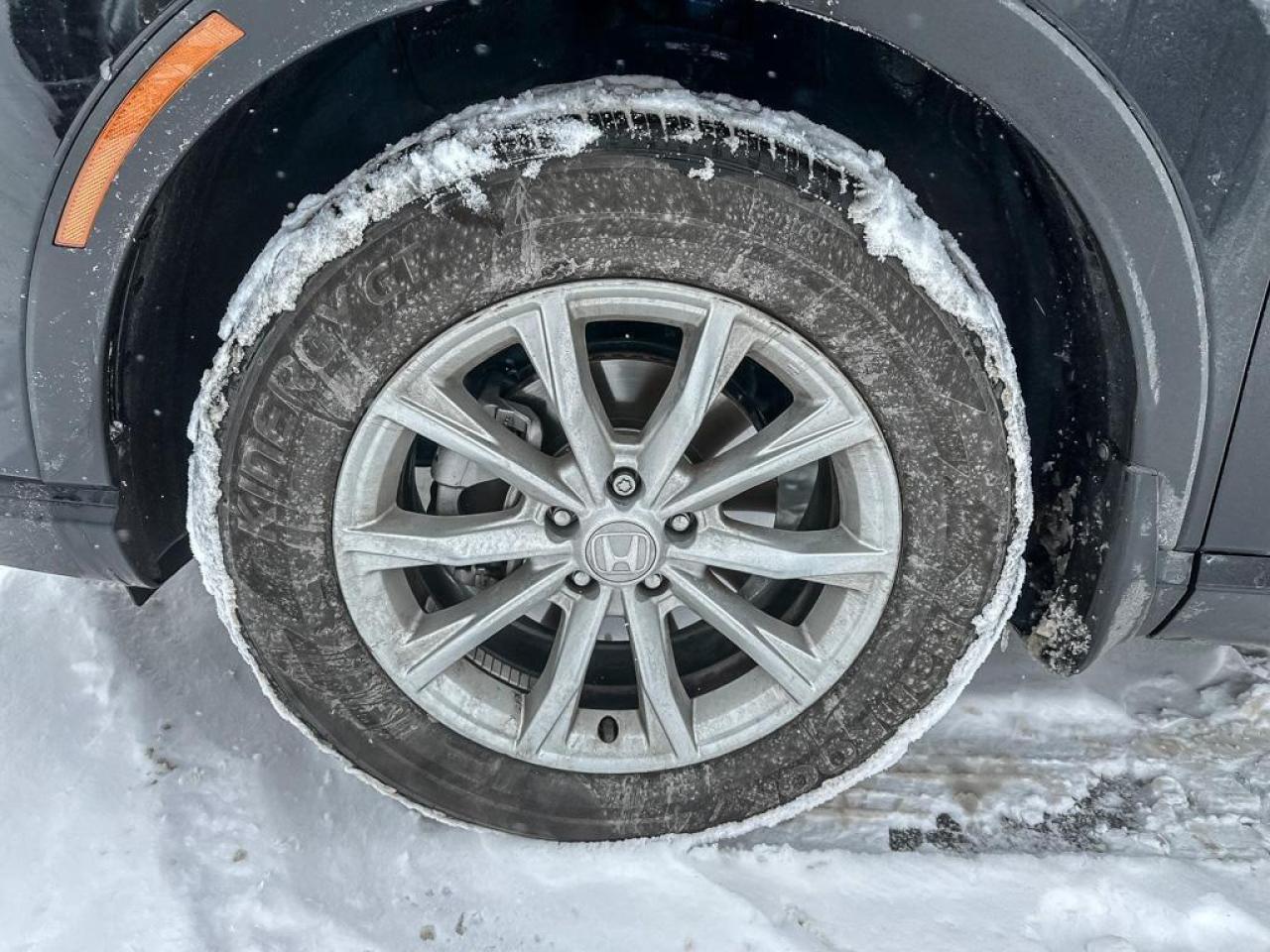 2024 Honda CR-V EX-L Photo