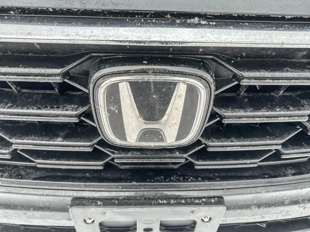 2024 Honda CR-V EX-L Photo