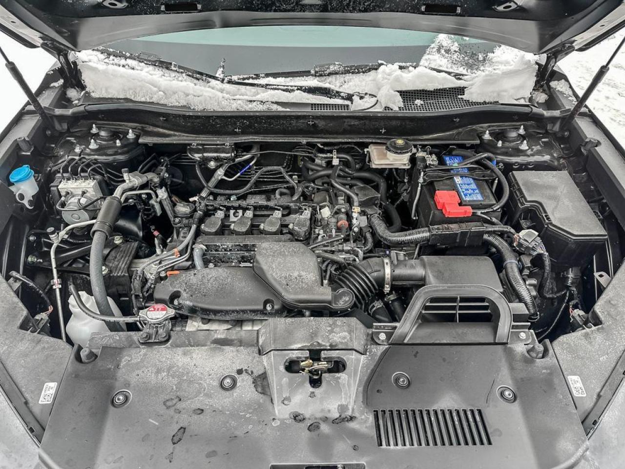 2024 Honda CR-V EX-L Photo