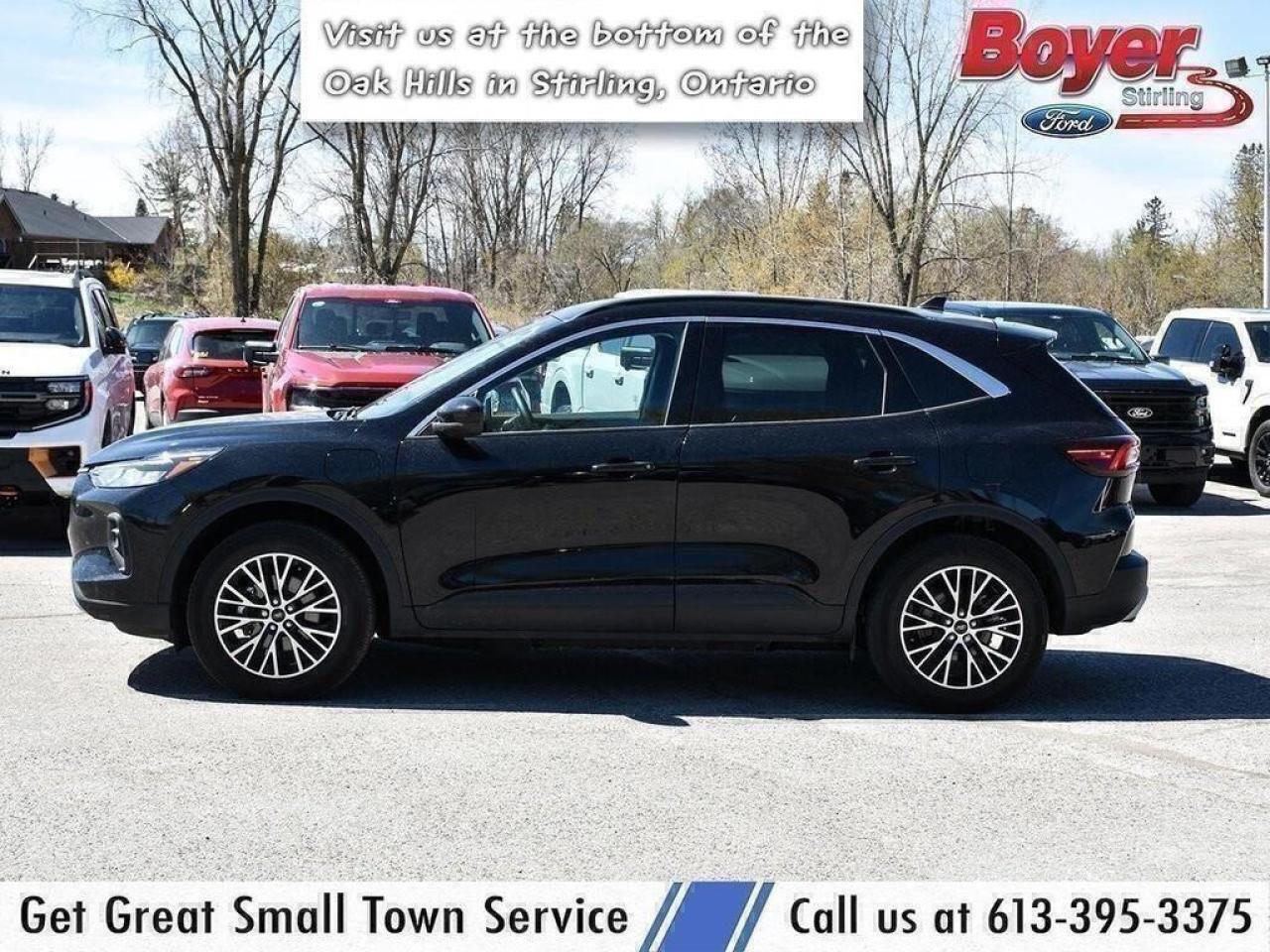 2024 Ford Escape PHEV DEALER SERVICED, ONE OWNER! Photo3