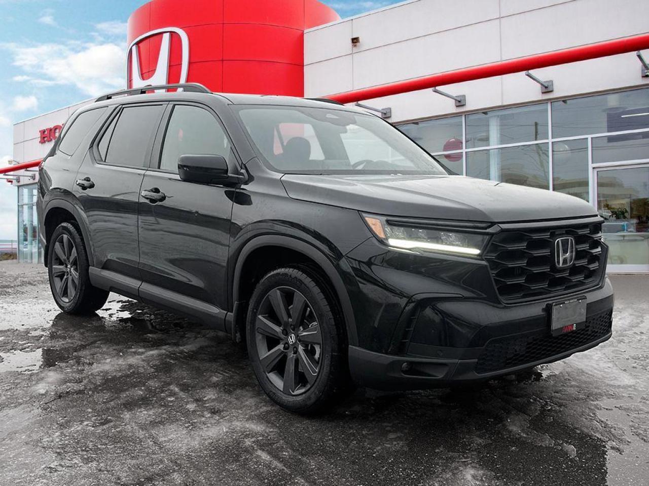 2024 Honda Pilot SPORT Photo