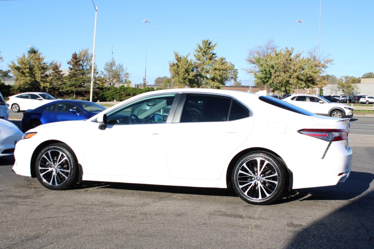2019 Toyota Camry SE   ACCIDENT FREE   SAFETY CERTIFIED   SAFETY SEN Photo
