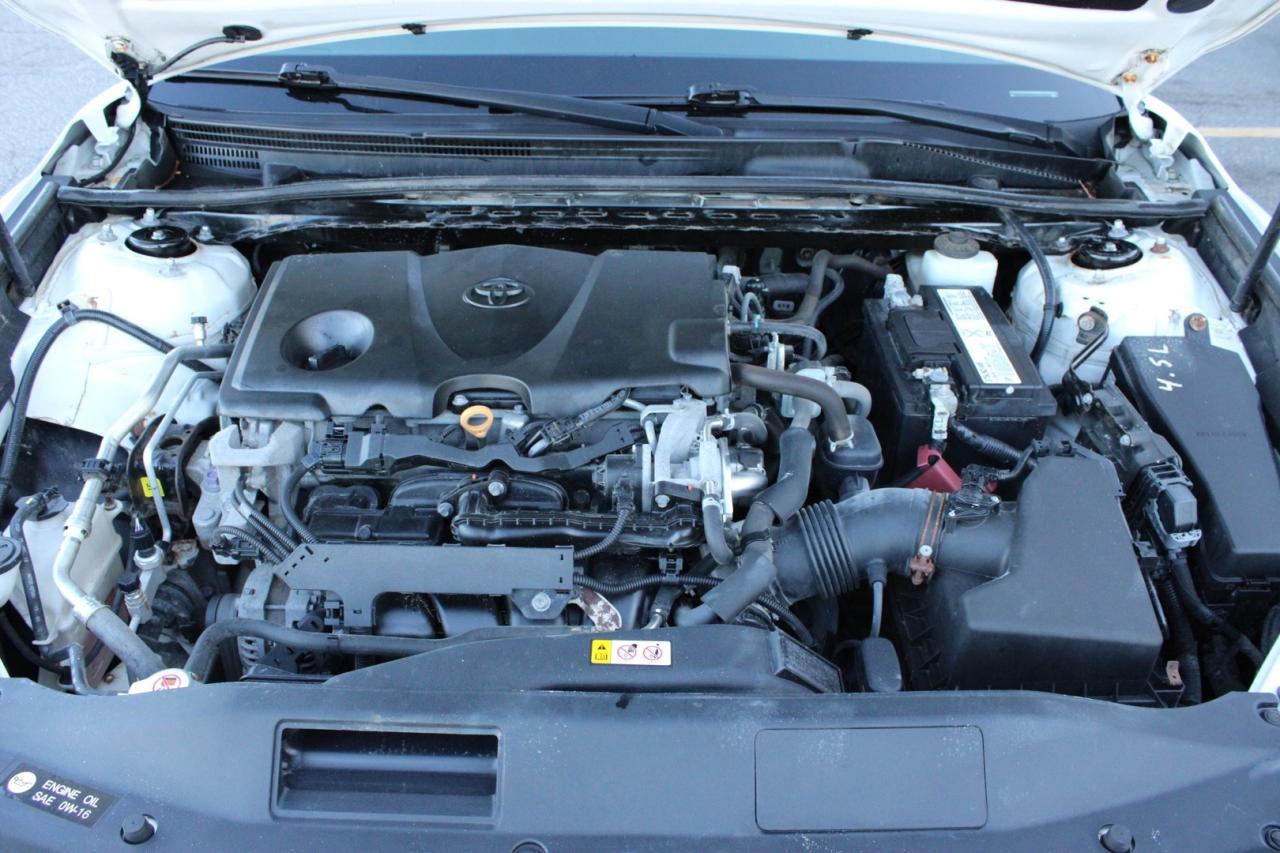2019 Toyota Camry SE   ACCIDENT FREE   SAFETY CERTIFIED   SAFETY SEN Photo