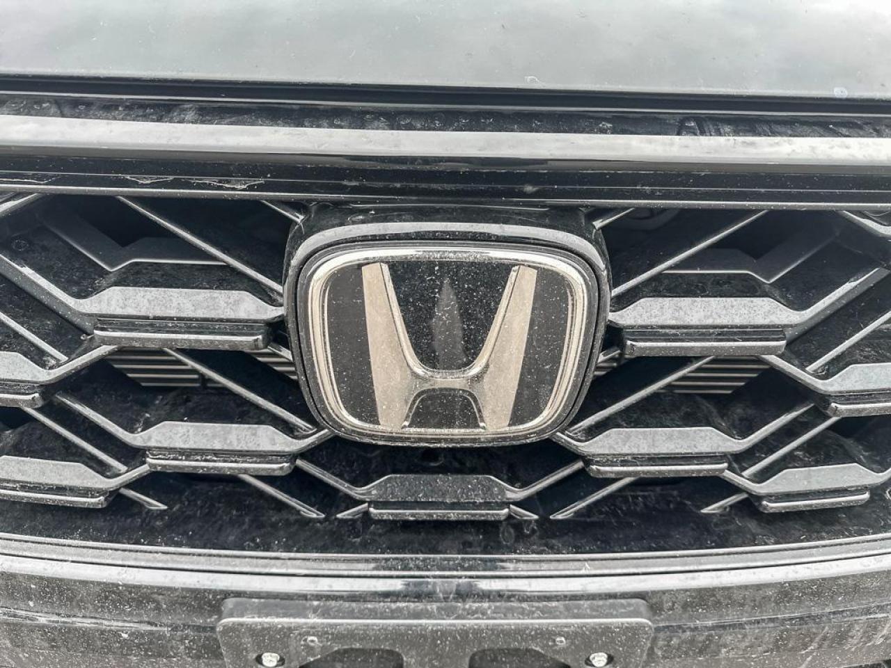 2025 Honda CR-V Hybrid EX-L Photo