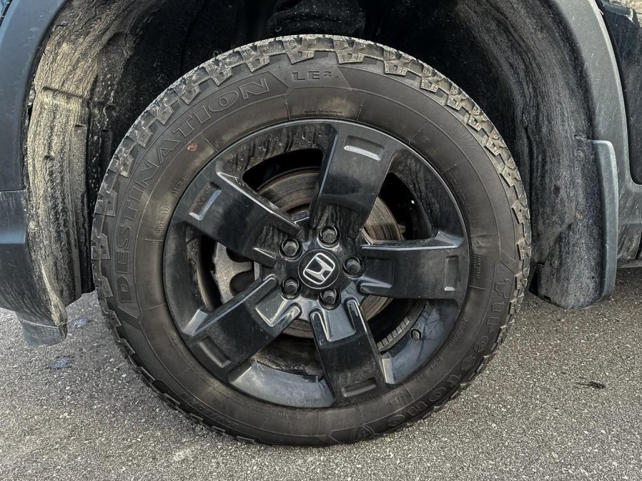 2024 Honda Ridgeline Black Edition Photo