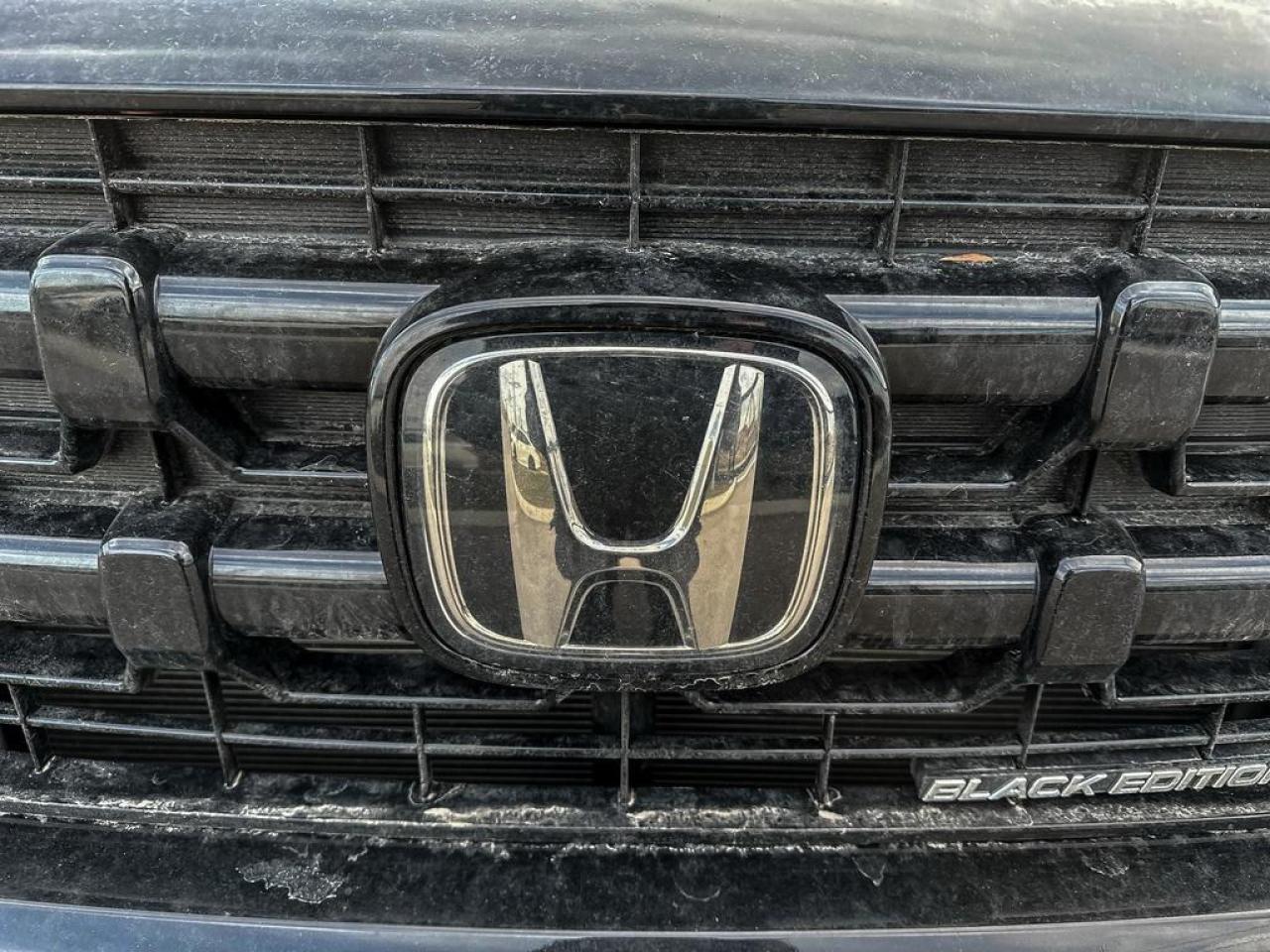 2024 Honda Ridgeline Black Edition Photo