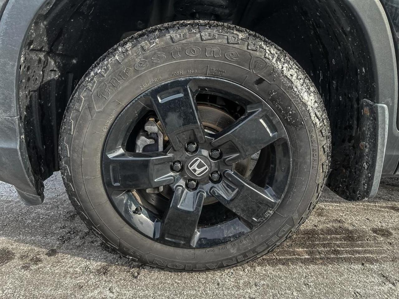 2025 Honda Ridgeline Black Edition Photo