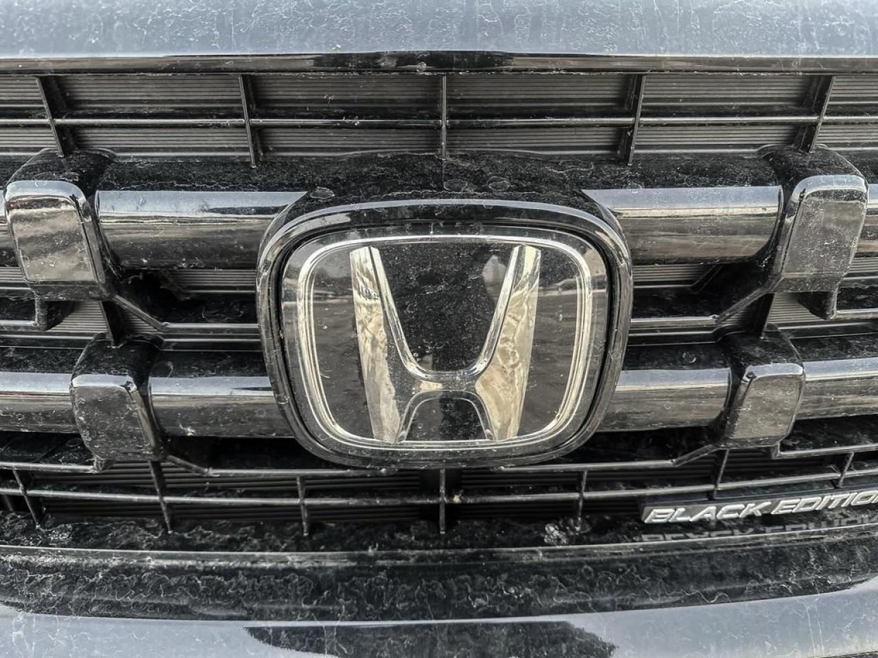 2025 Honda Ridgeline Black Edition Photo