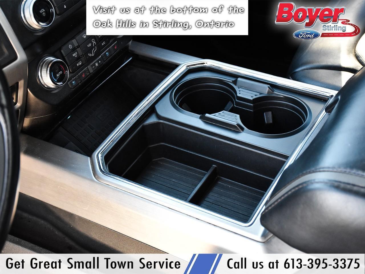 2020 Ford F-250 Platinum ONE OWNER, LOCAL TRADE! Photo