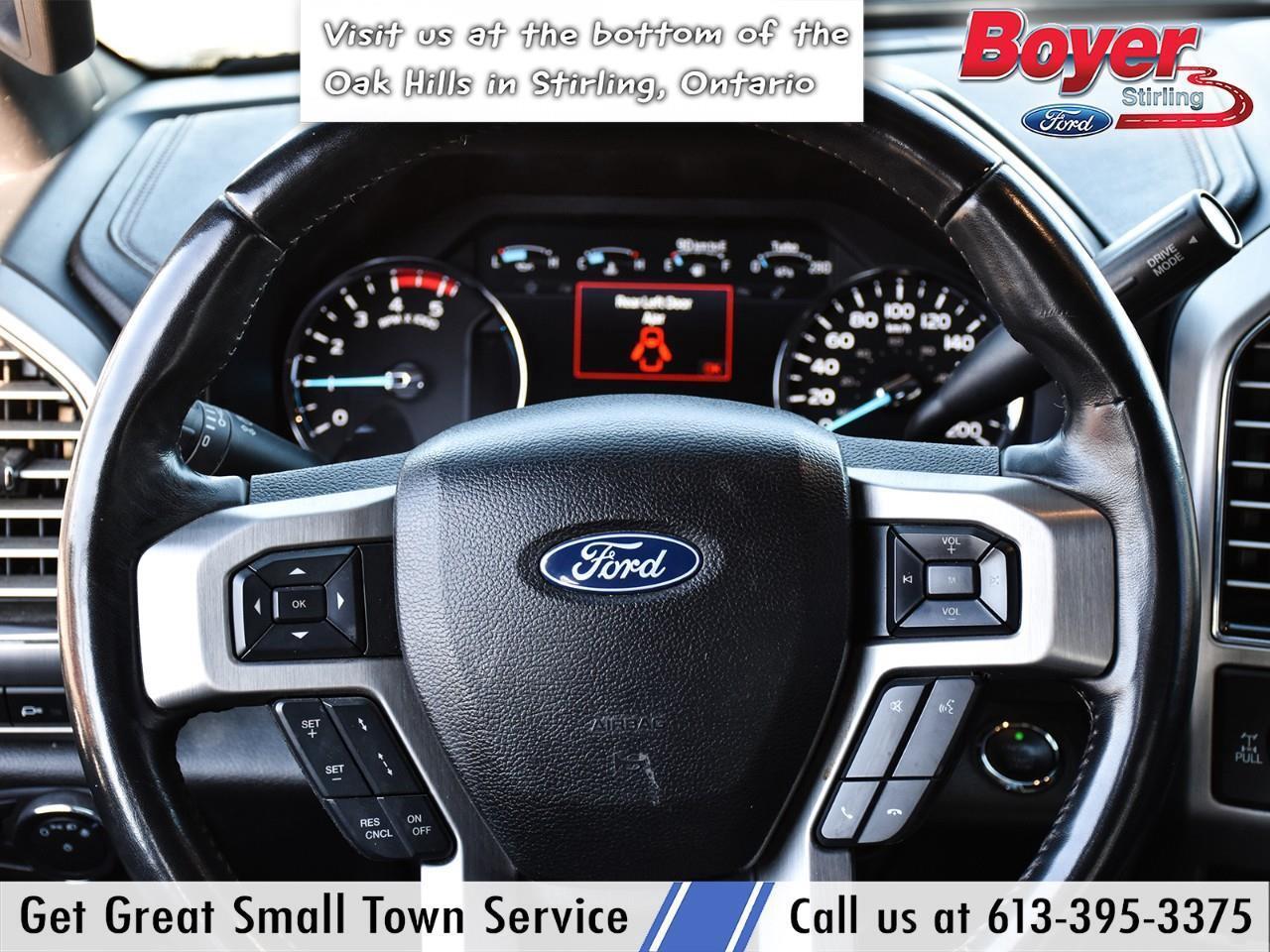 2020 Ford F-250 Platinum ONE OWNER, LOCAL TRADE! Photo