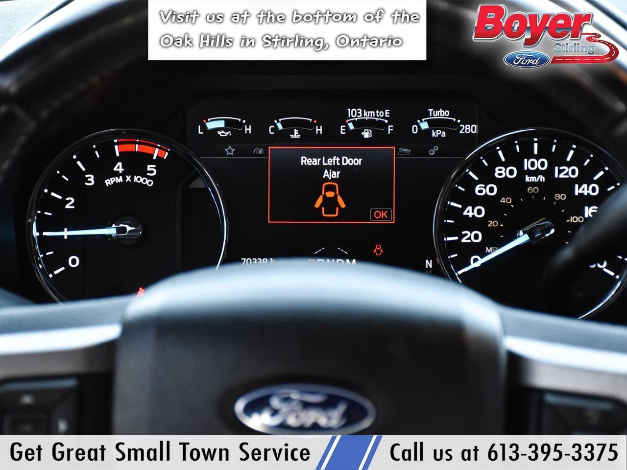 2020 Ford F-250 Platinum ONE OWNER, LOCAL TRADE! Photo