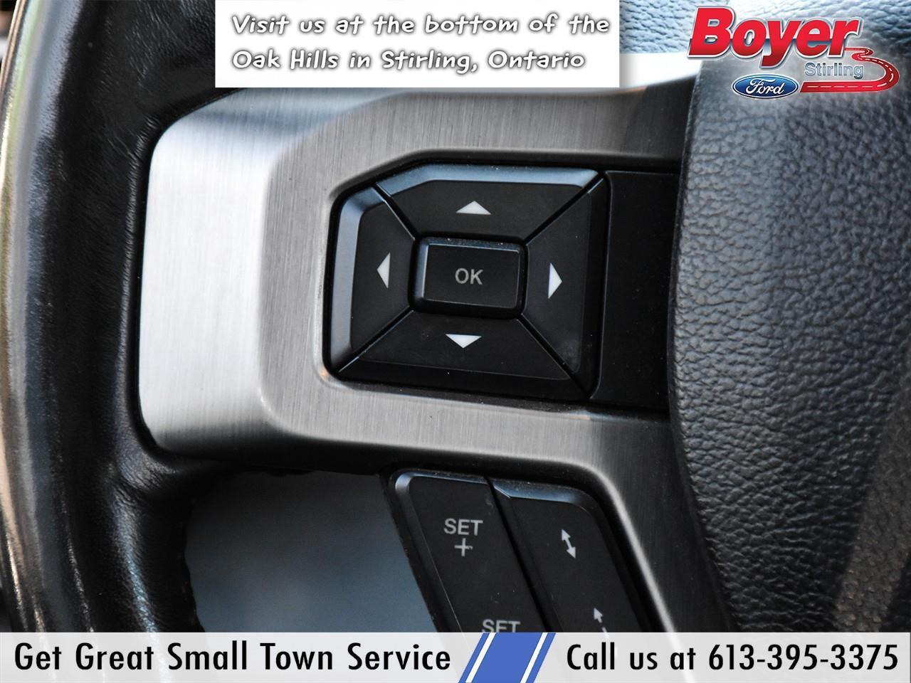 2020 Ford F-250 Platinum ONE OWNER, LOCAL TRADE! Photo