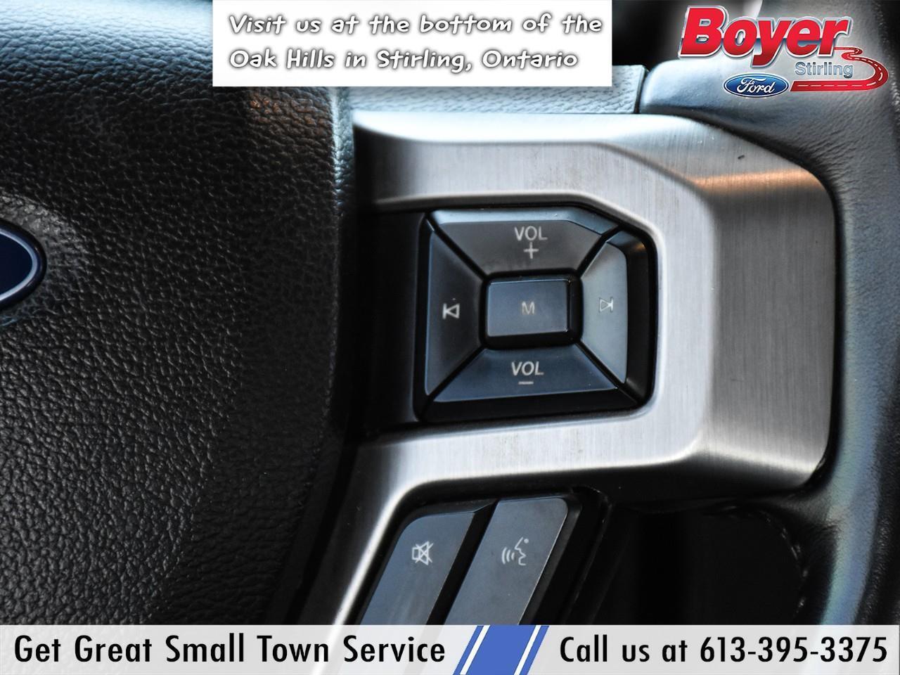 2020 Ford F-250 Platinum ONE OWNER, LOCAL TRADE! Photo