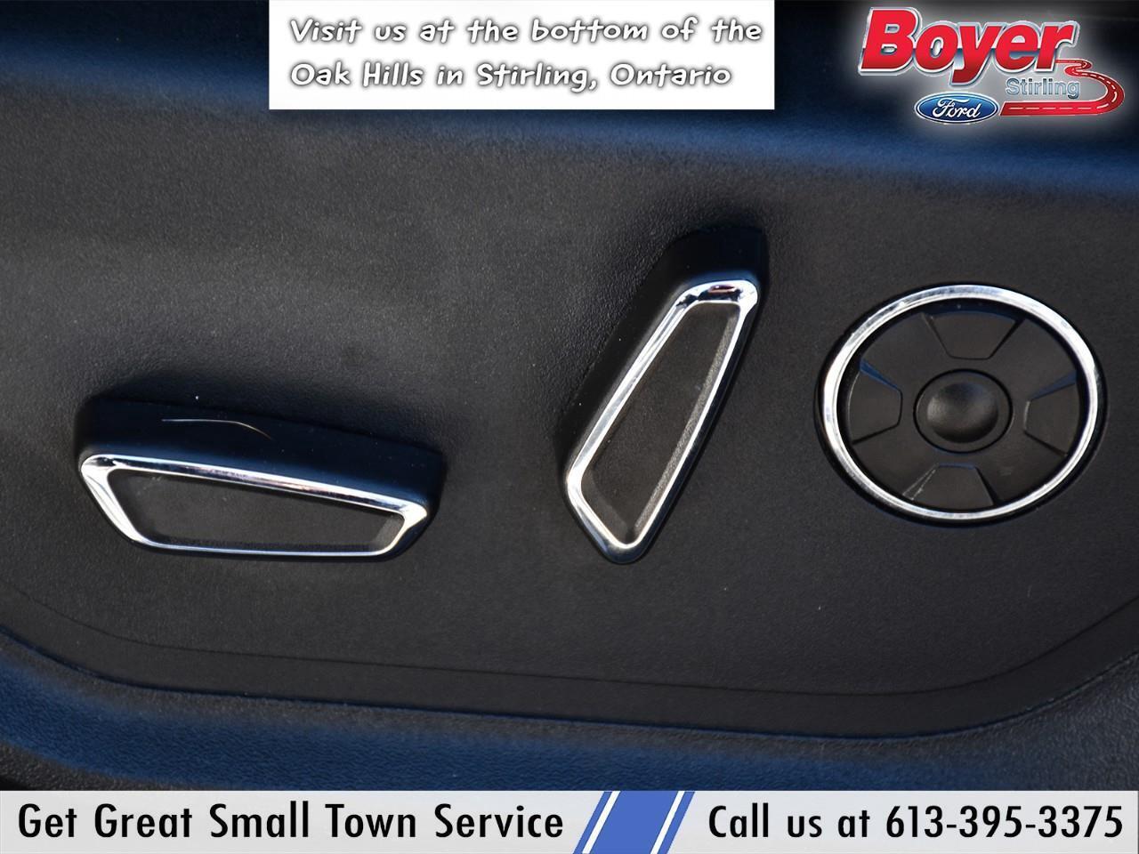 2020 Ford F-250 Platinum ONE OWNER, LOCAL TRADE! Photo