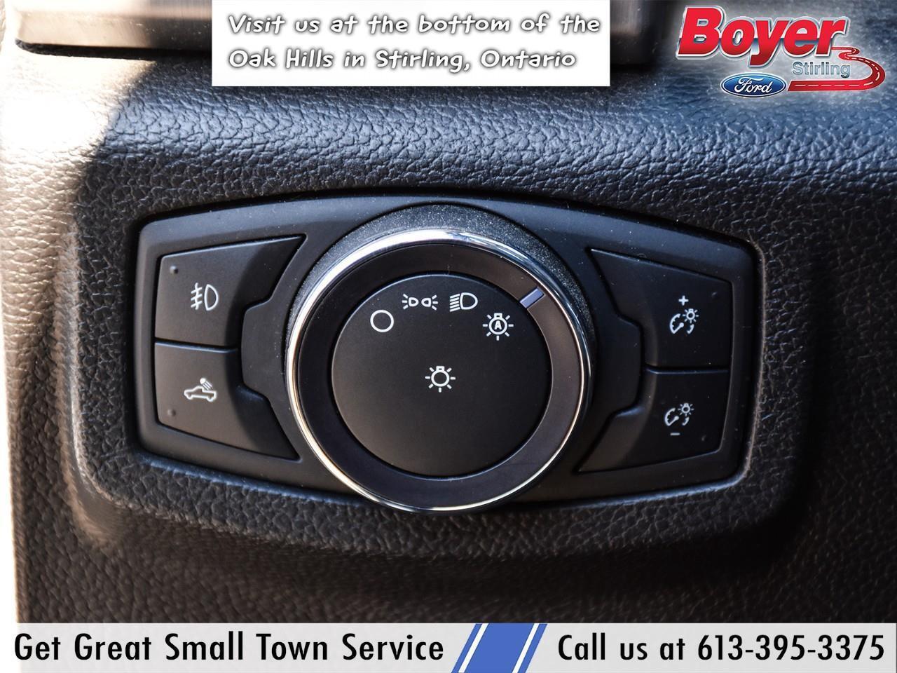 2020 Ford F-250 Platinum ONE OWNER, LOCAL TRADE! Photo