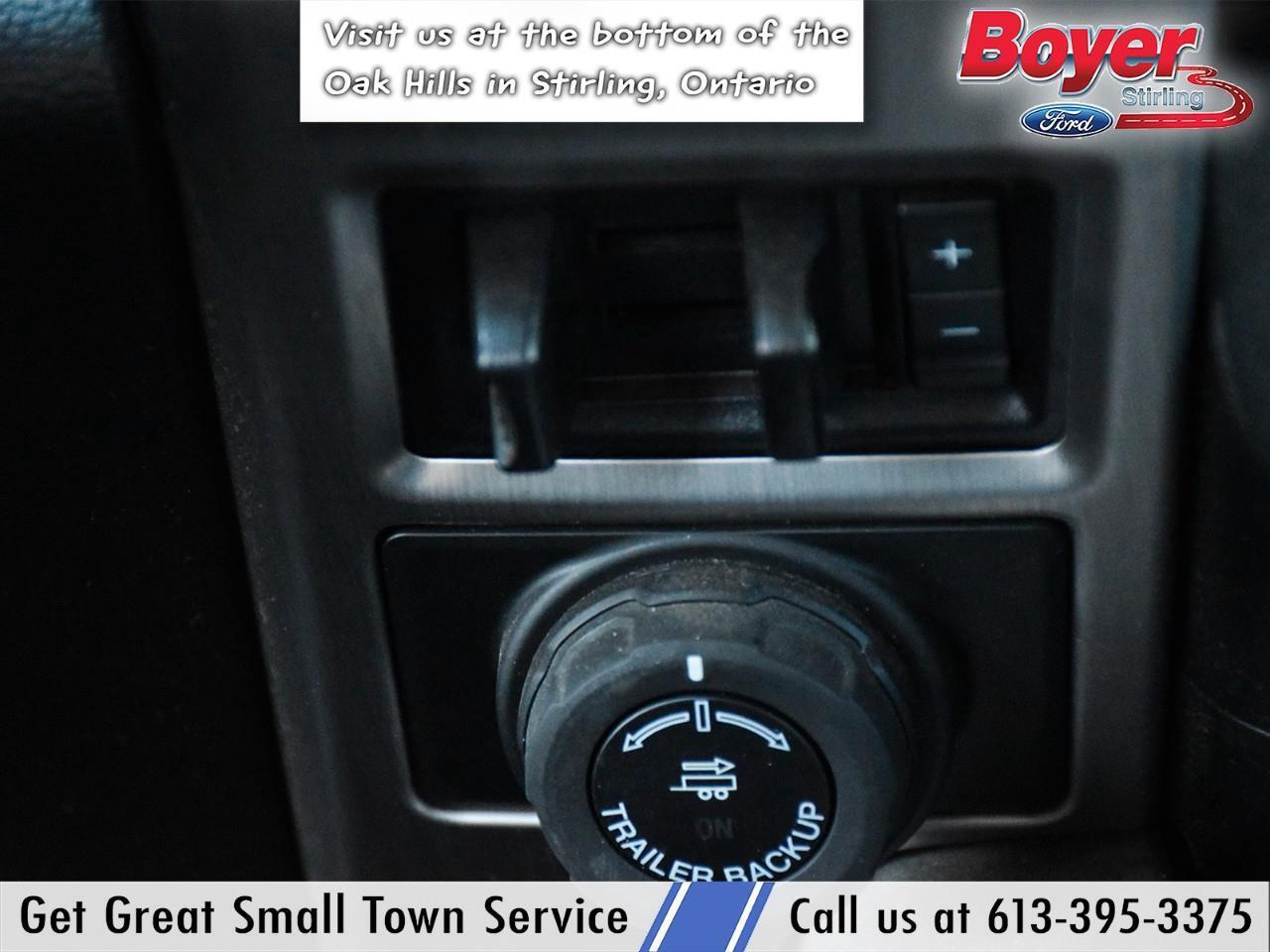 2020 Ford F-250 Platinum ONE OWNER, LOCAL TRADE! Photo