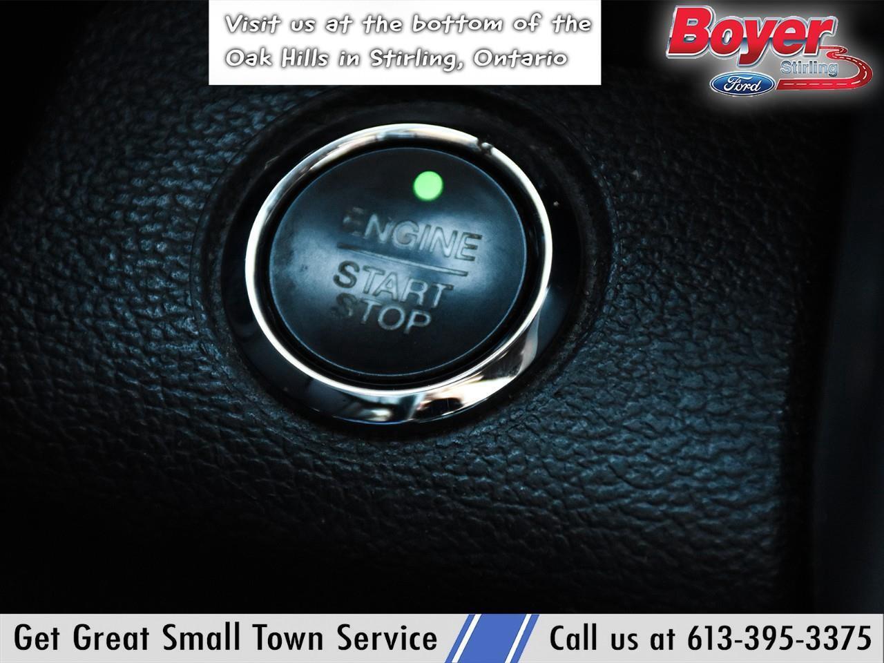 2020 Ford F-250 Platinum ONE OWNER, LOCAL TRADE! Photo