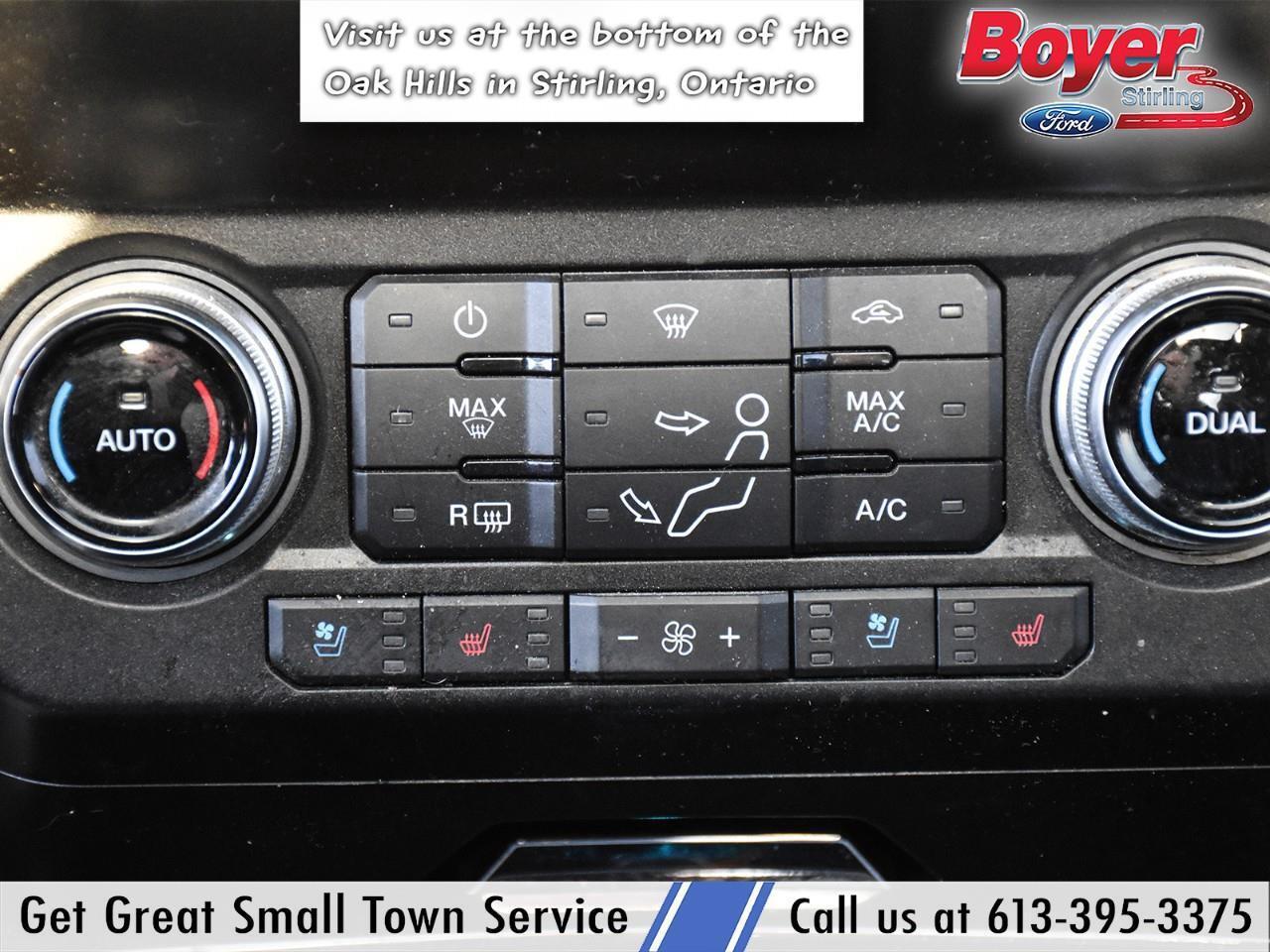 2020 Ford F-250 Platinum ONE OWNER, LOCAL TRADE! Photo