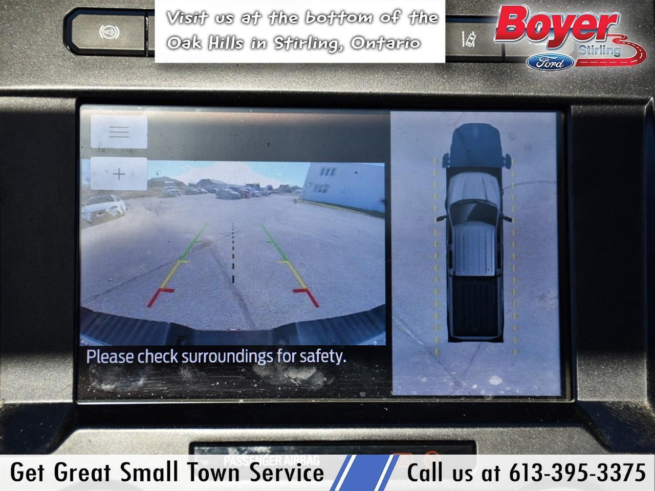 2020 Ford F-250 Platinum ONE OWNER, LOCAL TRADE! Photo