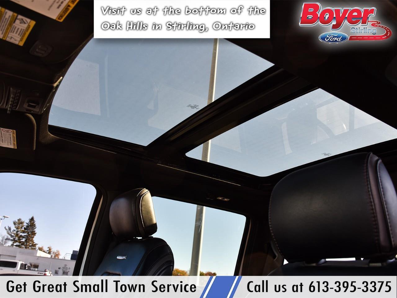 2020 Ford F-250 Platinum ONE OWNER, LOCAL TRADE! Photo