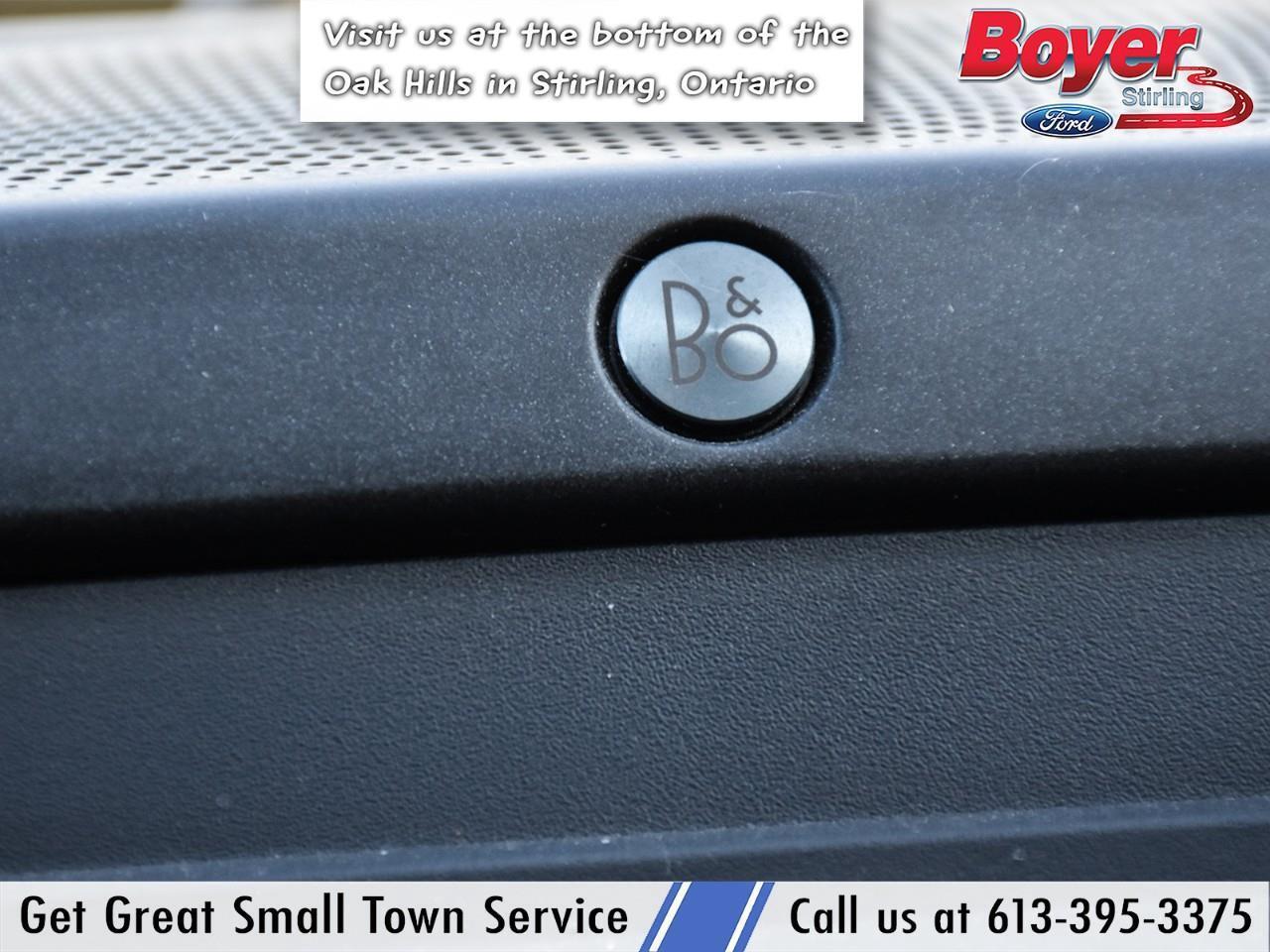 2020 Ford F-250 Platinum ONE OWNER, LOCAL TRADE! Photo