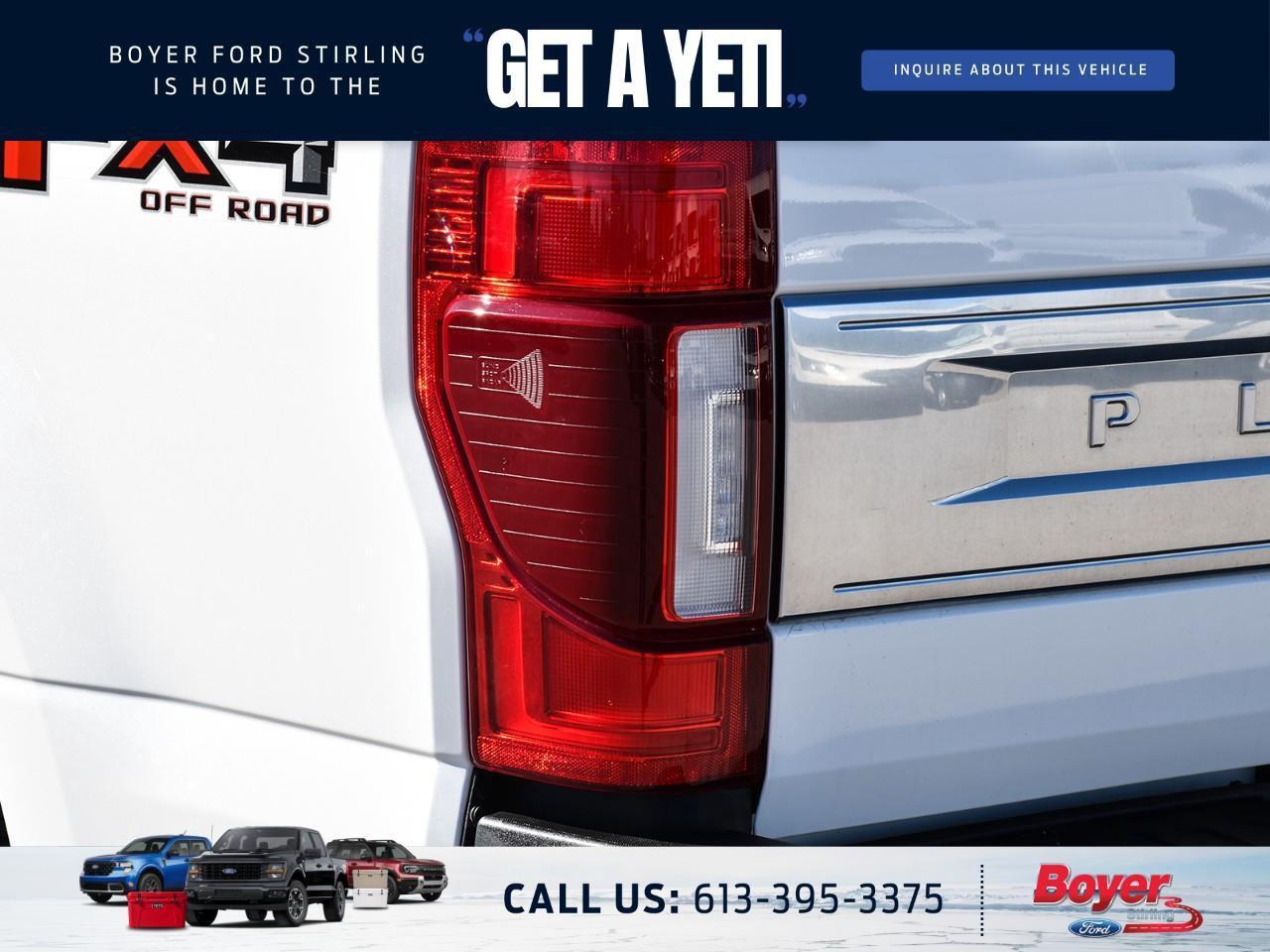 2020 Ford F-250 Platinum ONE OWNER, LOCAL TRADE! Photo