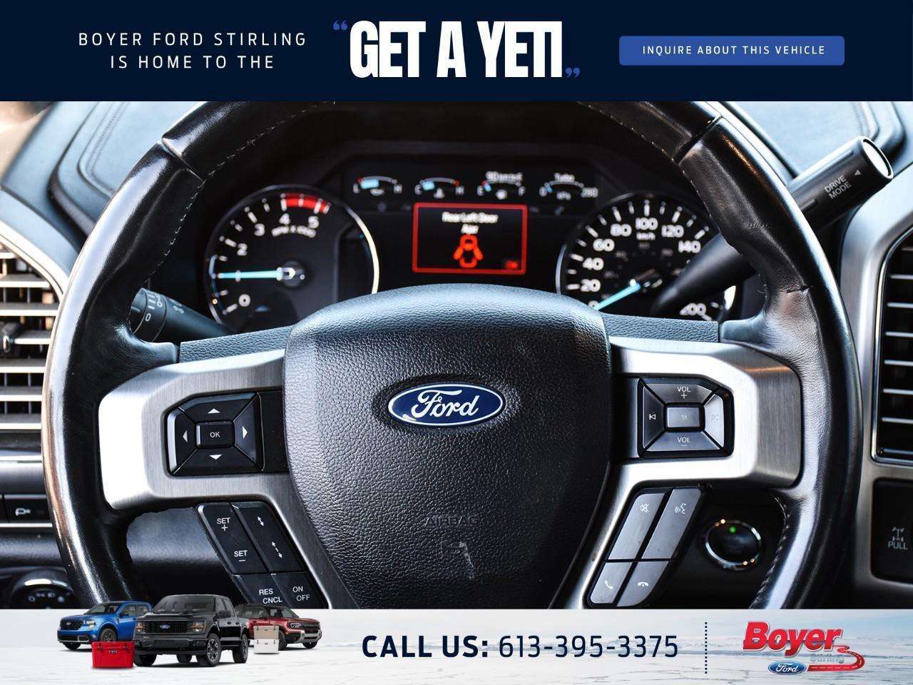 2020 Ford F-250 Platinum ONE OWNER, LOCAL TRADE! Photo