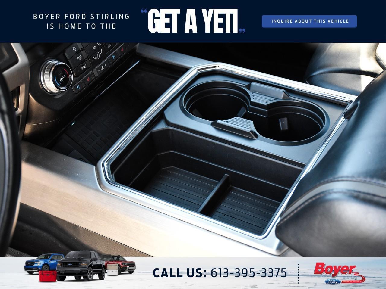 2020 Ford F-250 Platinum ONE OWNER, LOCAL TRADE! Photo