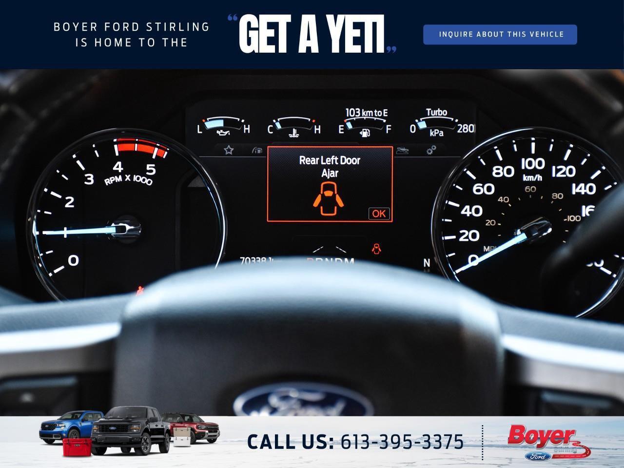 2020 Ford F-250 Platinum ONE OWNER, LOCAL TRADE! Photo