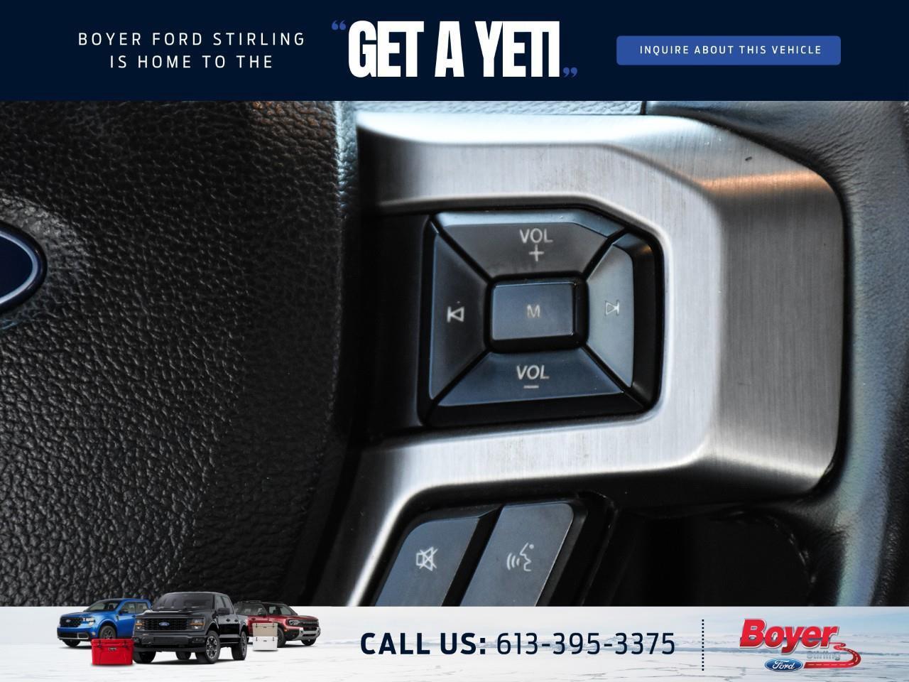 2020 Ford F-250 Platinum ONE OWNER, LOCAL TRADE! Photo