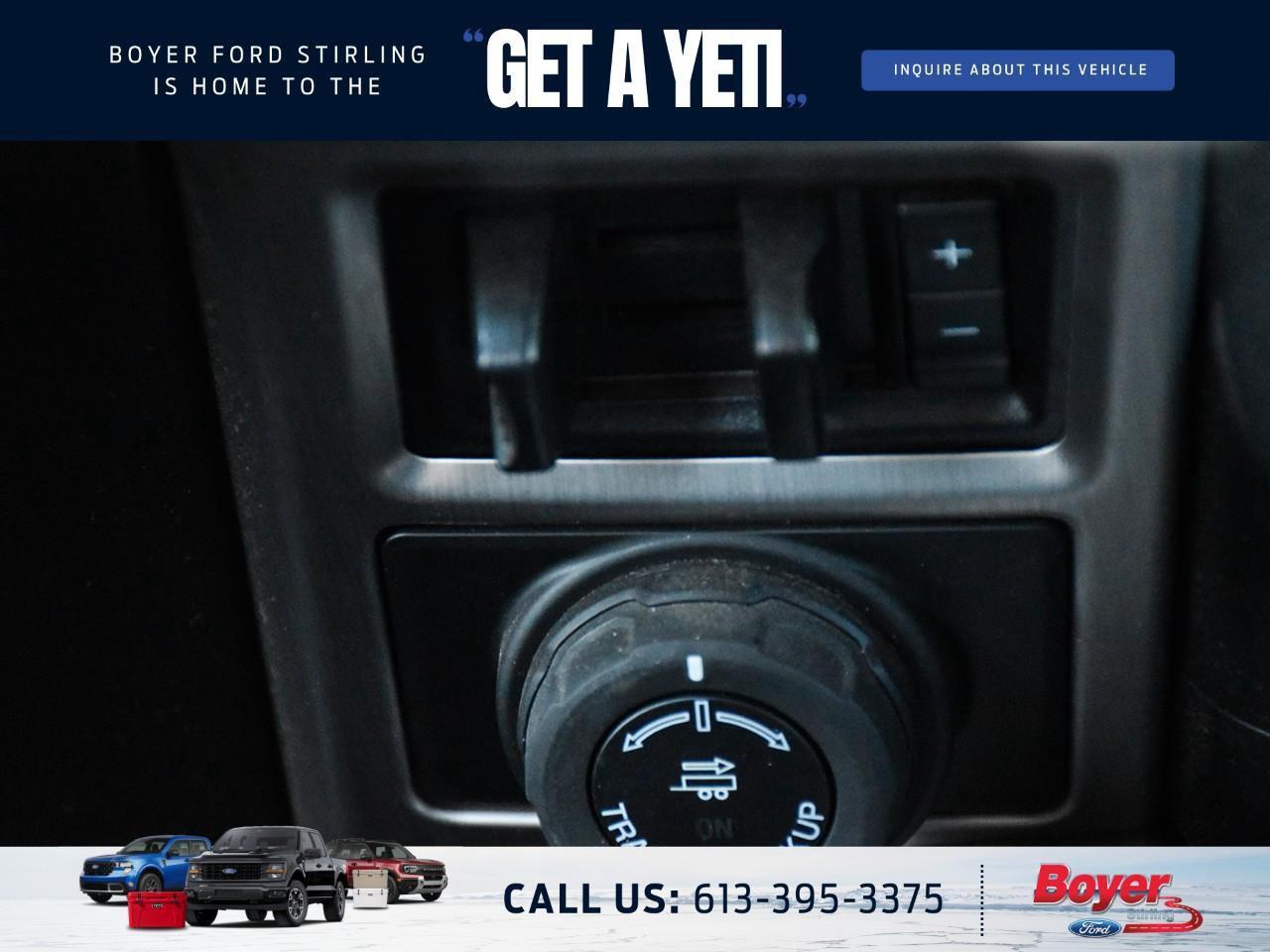 2020 Ford F-250 Platinum ONE OWNER, LOCAL TRADE! Photo