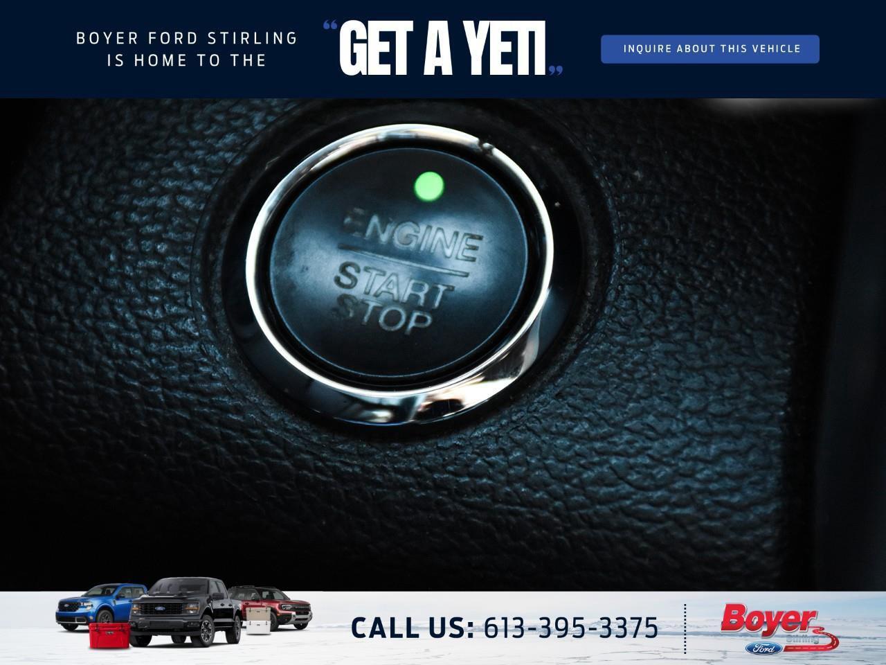 2020 Ford F-250 Platinum ONE OWNER, LOCAL TRADE! Photo