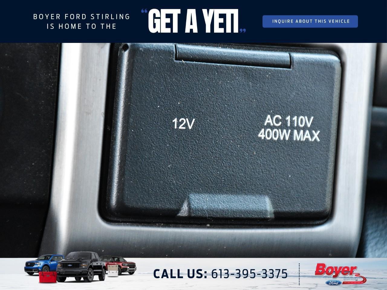 2020 Ford F-250 Platinum ONE OWNER, LOCAL TRADE! Photo