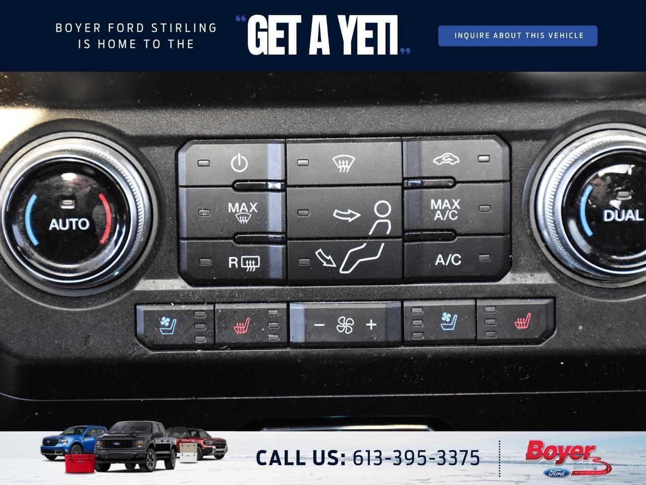 2020 Ford F-250 Platinum ONE OWNER, LOCAL TRADE! Photo