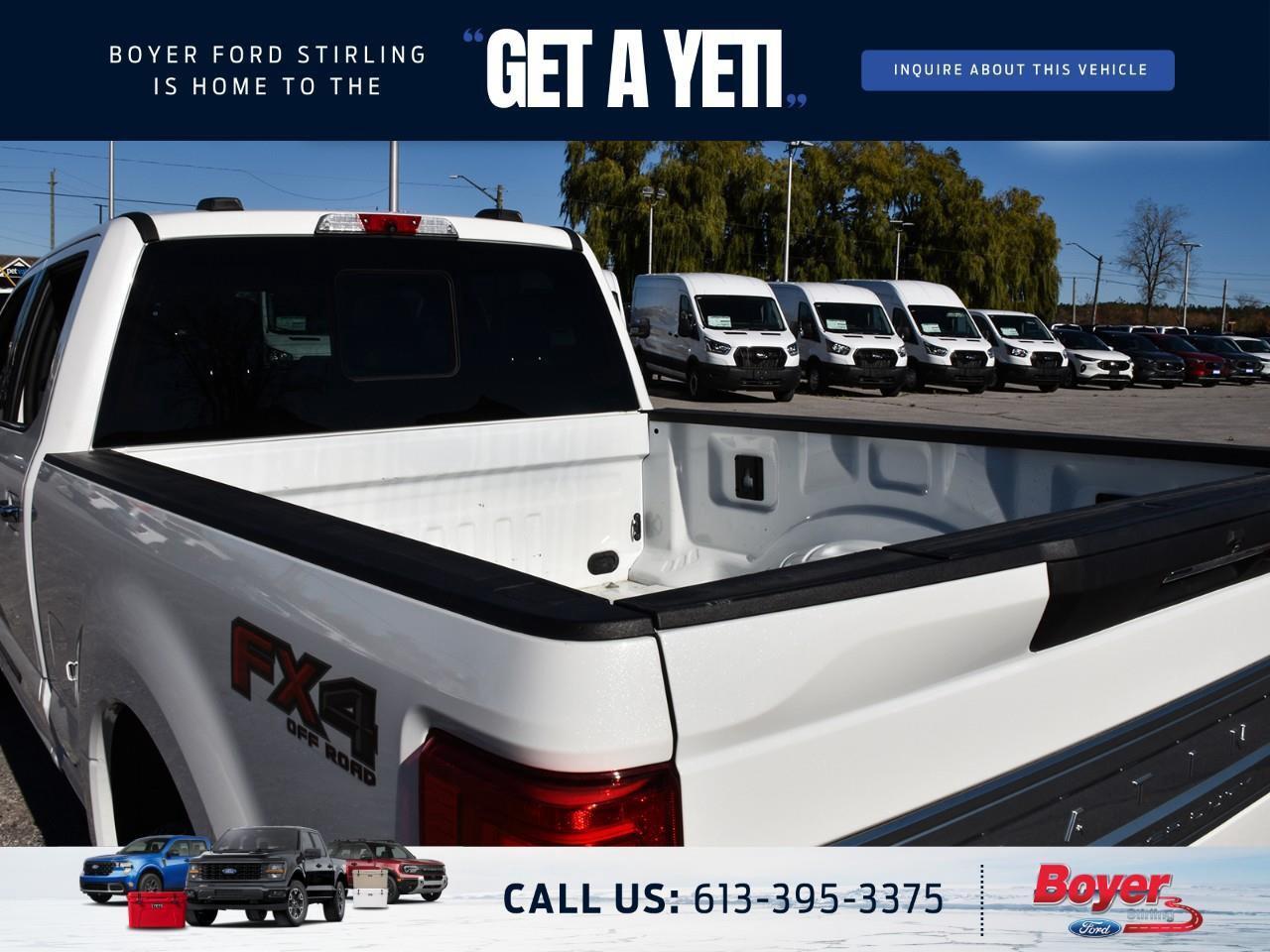 2020 Ford F-250 Platinum ONE OWNER, LOCAL TRADE! Photo